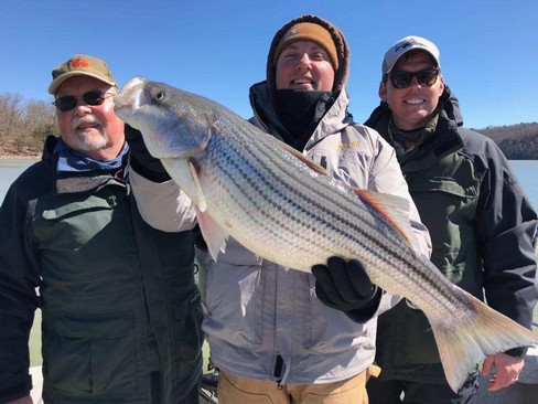 Nice Striped Bass