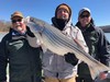 (03/16/2019) - Nice Striped Bass