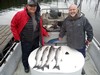 (11/19/2020) - Nice Striped Bass