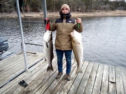 Nice Striped Bass