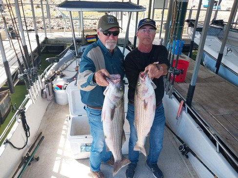 Nice Striped Bass