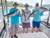 (07/12/2024) - Nice Striped Bass