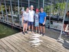 (06/25/2025) - Nice Striped Bass