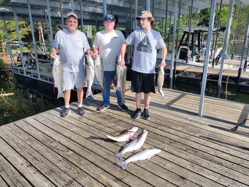 Nice Striped Bass