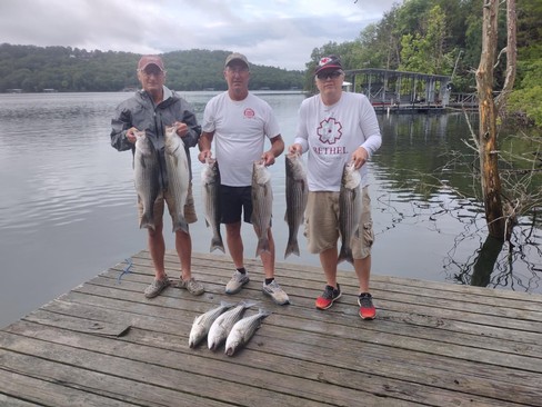 Nice Striped Bass