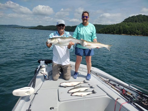 Nice Striped Bass
