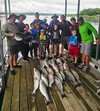 (06/14/2026) - Nice Striped Bass