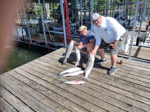 Nice Striped Bass
