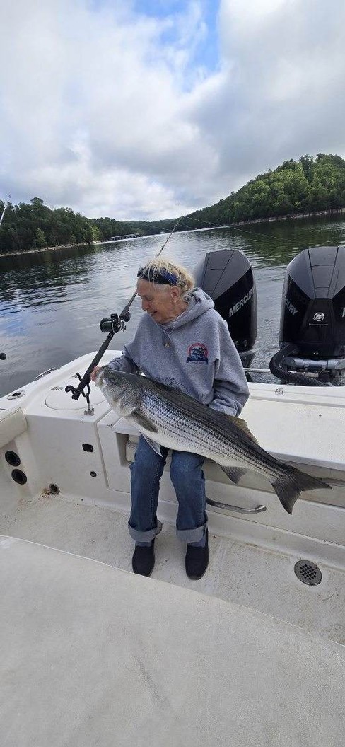 Nice Striped Bass
