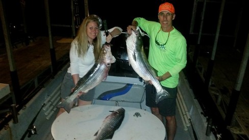 Nice Striped Bass