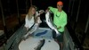 (09/27/2015) - Nice Striped Bass