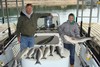 (03/24/2014) - Nice Striped Bass