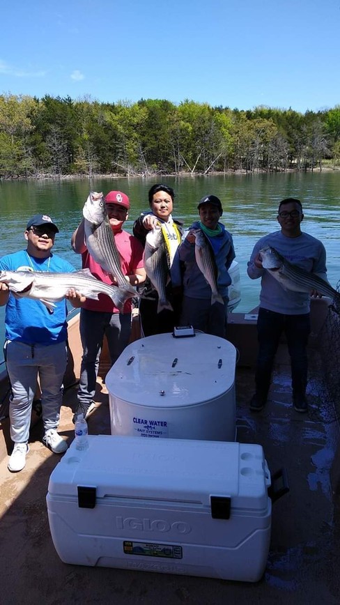 Nice Striped Bass