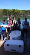 (04/18/2020) - Nice Striped Bass
