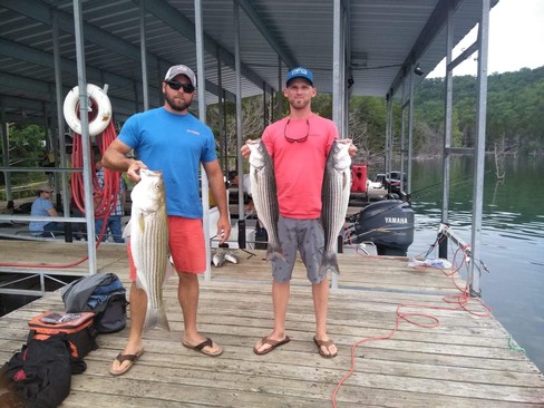 Nice Striped Bass