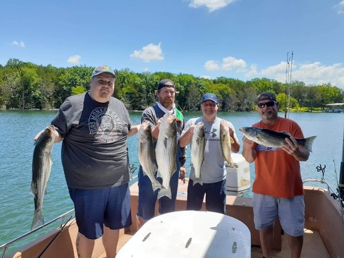 Nice Striped Bass