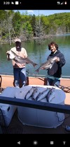 (04/30/2020) - Nice Striped Bass