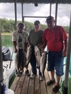 (07/31/2022) - Nice Striped Bass