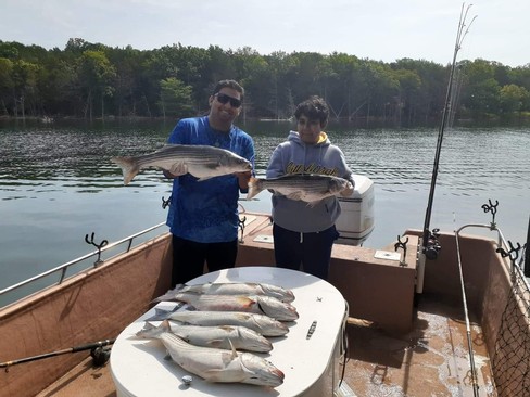 Nice Striped Bass
