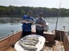 (06/22/2020) - Nice Striped Bass
